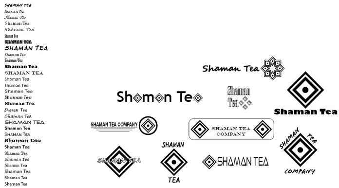 Logo Concept Process